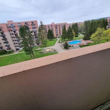 Ferienwohnung Altenau Im Harz, Hunde Екстер'єр фото