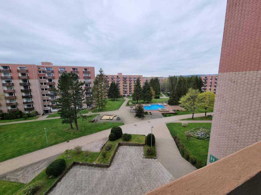 Ferienwohnung Altenau Im Harz, Hunde Екстер'єр фото