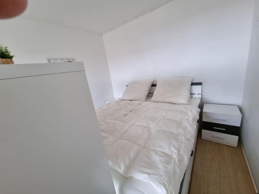 Ferienwohnung Altenau Im Harz, Hunde Екстер'єр фото